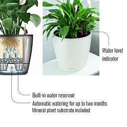 LECHUZA CLASSICO Color Round Poly Resin Self-watering Planter Set