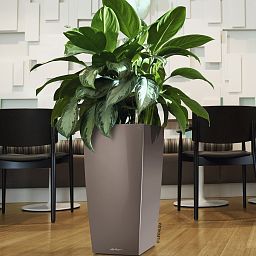 LECHUZA CUBICO Square Tall Poly Resin Self-watering Planter