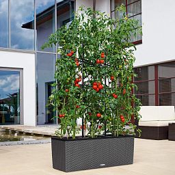 LECHUZA Trellis for TRIO