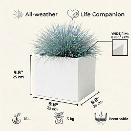 IDEALIST Lite Square Box Contemporary Light Concrete Planter