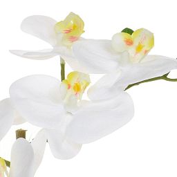 AN-Phalaenopsis Real Touch in Pot Artificial Flower Plant