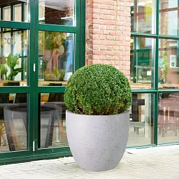 IDEALIST Lite Contemporary Light Concrete Egg Planter