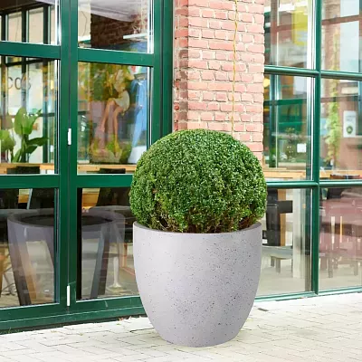 IDEALIST Lite Contemporary Light Concrete Egg Planter