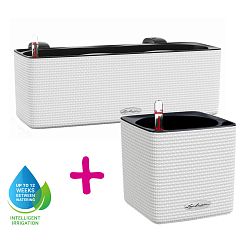LECHUZA CUBE Color Square Poly Resin Indoor Self-watering Planter Set