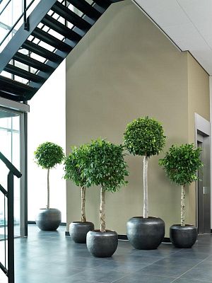 Loft Circle Round Polystone Outdoor Planter