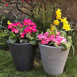 IDEALIST Lite Round Contemporary Light Concrete Planter