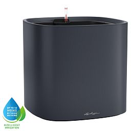 LECHUZA PILA Color Square Poly Resin Self-watering Planter