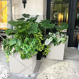 IDEALIST Lite Square Box Contemporary Light Concrete Planter