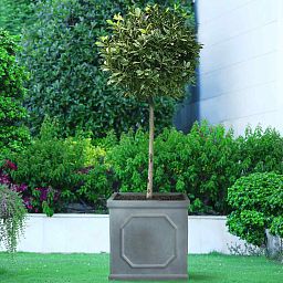 IDEALIST Lite Faux Lead Chelsea Box Square Light Concrete Planter