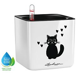 LECHUZA CUBE Glossy Cat Square Poly Resin Indoor Self-watering Planter