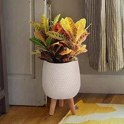 IDEALIST Lite Honeycomb Style Egg Planter on Legs, Round Pot Plant Stand Indoor