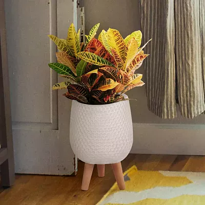 IDEALIST Lite Honeycomb Style Egg Planter on Legs, Round Pot Plant Stand Indoor