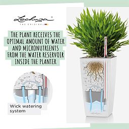 LECHUZA CUBI Square Poly Resin Indoor Self-watering Planter