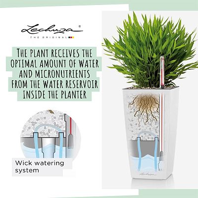 LECHUZA CUBI Square Poly Resin Indoor Self-watering Planter
