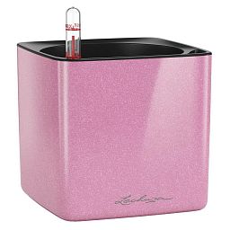 LECHUZA CUBE Glossy Kiss Square Poly Resin Indoor Self-watering Planter