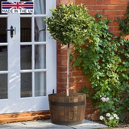 Rustic Upcycled Oak Wood Round Tub Half Barrel Outdoor Planter Made in UK by HORTICO