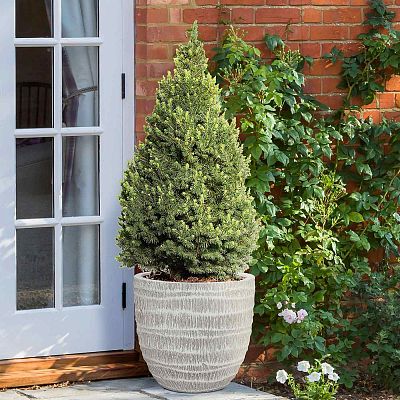 IDEALIST Lite Straw Plaited Style Egg Planter