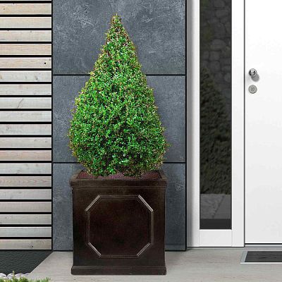 IDEALIST Lite Faux Lead Chelsea Box Square Light Concrete Planter