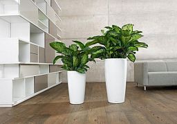 LECHUZA Rondo Round Tall Poly Resin Self-watering Planter