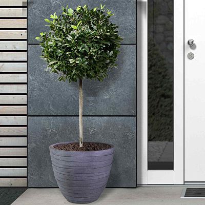 IDEALIST Lite Row Light Concrete Egg Planter