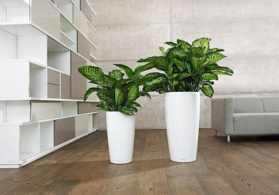 LECHUZA Rondo Round Tall Poly Resin Self-watering Planter