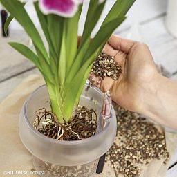 LECHUZA ORCHIDPON Orchid Potting Mix Organic Peat-Free Orchid Compost
