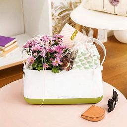 LECHUZA YULA Plant Bag Trough Poly Resin Indoor Self-watering Planter