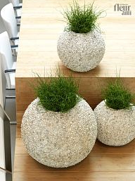Beach Shell Round Polystone Indoor Planter