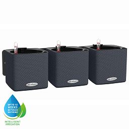 LECHUZA Green Wall Home Kit Color Indoor Self-watering Planter
