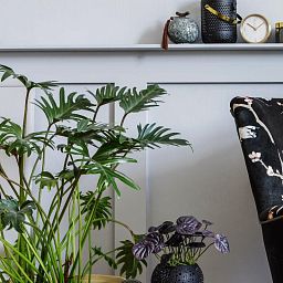 Philodendron Xanadu in LECHUZA CUBICO Self-watering Planter, Total Height 100 cm