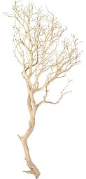 Manzanita Sand Blasted Branchy Artificial Branch