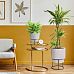 Set of two IDEALIST Lite Smooth Style Round Indoor Planters on Metal Stand