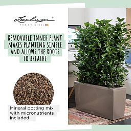 LECHUZA CARARO Trough Poly Resin Self-watering Planter