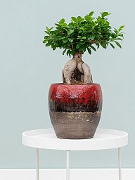 Amora Couple Glazed Clay Round Planter