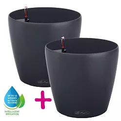 LECHUZA CLASSICO Color Round Poly Resin Self-watering Planter Set