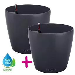 LECHUZA CLASSICO Color Round Poly Resin Self-watering Planter Set