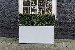 Raised Fiberstone Trough Planter by Idealist Premium JORT