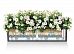 LECHUZA BALCONERA Cottage Trough Poly Resin Self-watering Planter