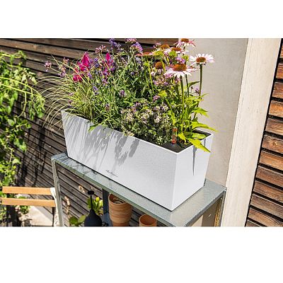 LECHUZA BALCONERA Color Trough Poly Resin Self-watering Planter