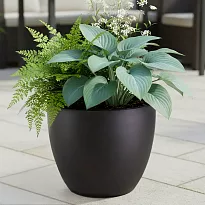 IDEALIST Lite 30cm Garden Planter | Black Washed Light Concrete Egg Ro...