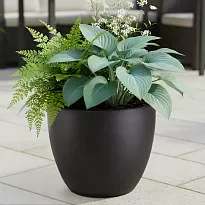 IDEALIST Lite 30cm Garden Planter | Black Washed Light Concrete Egg Ro...