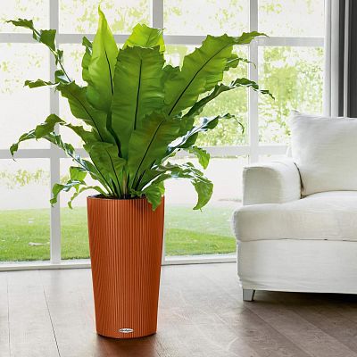 LECHUZA CILINDRO Color Round Tall Poly Resin Self-watering Planter