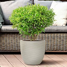 IDEALIST Lite Wave Style Outdoor Egg Planter