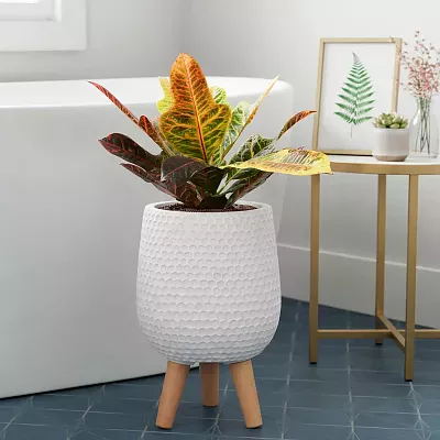 IDEALIST Lite Honeycomb Style Egg Planter on Legs, Round Pot Plant Stand Indoor