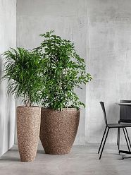 Naturescast Egg Planter | Indoor Plant Pot