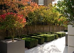 AXIS Trough Outdoor Fiberglass Planter
