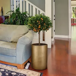 IDEALIST Lite Tall Round Metallic Indoor Planter