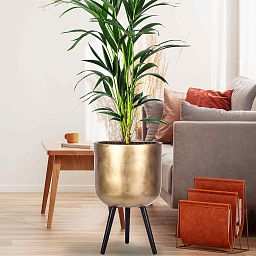 IDEALIST Lite Round Planter on Legs, Round Pot Plant Stand Indoor
