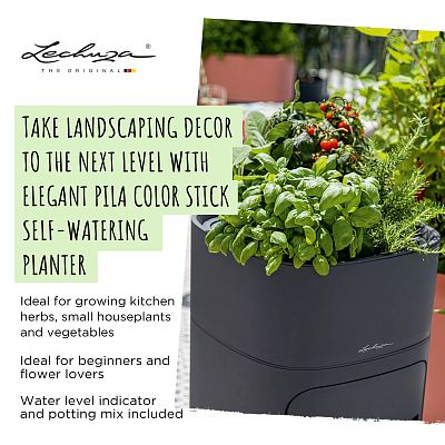 LECHUZA PILA Color Stick Square Poly Resin Self-watering Planter