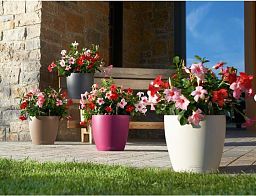 LECHUZA CLASSICO Color Round Poly Resin Self-watering Planter Set